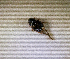 ( - SPEC#4011)  @11 [ ] CreativeCommons  Attribution Non-Commercial Share-Alike  (2024) Unspecified Princeton University