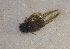  ( - SPEC#4012)  @11 [ ] CreativeCommons  Attribution Non-Commercial Share-Alike  (2024) Unspecified Princeton University