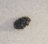  ( - SPEC#4041)  @11 [ ] CreativeCommons  Attribution Non-Commercial Share-Alike  (2024) Unspecified Princeton University