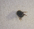  ( - SPEC#4044)  @11 [ ] CreativeCommons  Attribution Non-Commercial Share-Alike  (2024) Unspecified Princeton University