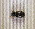  ( - SPEC#4101)  @11 [ ] CreativeCommons  Attribution Non-Commercial Share-Alike  (2024) Unspecified Princeton University
