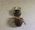  ( - SPEC#4136)  @11 [ ] CreativeCommons  Attribution Non-Commercial Share-Alike  (2024) Unspecified Princeton University