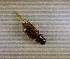  ( - SPEC#4341)  @11 [ ] CreativeCommons  Attribution Non-Commercial Share-Alike  (2024) Unspecified Princeton University