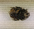  ( - SPEC#4471)  @11 [ ] CreativeCommons  Attribution Non-Commercial Share-Alike  (2024) Unspecified Princeton University