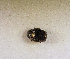  ( - SPEC#4508)  @11 [ ] CreativeCommons  Attribution Non-Commercial Share-Alike  (2024) Unspecified Princeton University