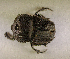  ( - SPEC#4551)  @11 [ ] CreativeCommons  Attribution Non-Commercial Share-Alike  (2024) Unspecified Princeton University