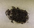  ( - SPEC#4589)  @11 [ ] CreativeCommons  Attribution Non-Commercial Share-Alike  (2024) Unspecified Princeton University