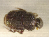  ( - SPEC#4827)  @11 [ ] CreativeCommons  Attribution Non-Commercial Share-Alike  (2024) Unspecified Princeton University