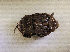  ( - SPEC#4868)  @11 [ ] CreativeCommons  Attribution Non-Commercial Share-Alike  (2024) Unspecified Princeton University