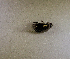  ( - SPEC#4878)  @11 [ ] CreativeCommons  Attribution Non-Commercial Share-Alike  (2024) Unspecified Princeton University