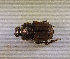  ( - SPEC#4888)  @11 [ ] CreativeCommons  Attribution Non-Commercial Share-Alike  (2024) Unspecified Princeton University