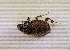  ( - SPEC#4889)  @11 [ ] CreativeCommons  Attribution Non-Commercial Share-Alike  (2024) Unspecified Princeton University