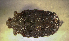  ( - SPEC#4977)  @11 [ ] CreativeCommons  Attribution Non-Commercial Share-Alike  (2024) Unspecified Princeton University