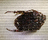  ( - SPEC#4983)  @11 [ ] CreativeCommons  Attribution Non-Commercial Share-Alike  (2024) Unspecified Princeton University