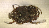 ( - SPEC#4988)  @11 [ ] CreativeCommons  Attribution Non-Commercial Share-Alike  (2024) Unspecified Princeton University