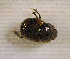  ( - SPEC#4997)  @11 [ ] CreativeCommons  Attribution Non-Commercial Share-Alike  (2024) Unspecified Princeton University