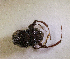  ( - SPEC#5077)  @11 [ ] CreativeCommons  Attribution Non-Commercial Share-Alike  (2024) Unspecified Princeton University