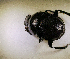  ( - SPEC#5272)  @11 [ ] CreativeCommons  Attribution Non-Commercial Share-Alike  (2024) Unspecified Princeton University
