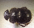  ( - SPEC#5413)  @11 [ ] CreativeCommons  Attribution Non-Commercial Share-Alike  (2024) Unspecified Princeton University