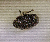  ( - SPEC#5445)  @11 [ ] CreativeCommons  Attribution Non-Commercial Share-Alike  (2024) Unspecified Princeton University