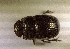 ( - SPEC#5537)  @11 [ ] CreativeCommons  Attribution Non-Commercial Share-Alike  (2024) Unspecified Princeton University