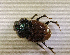  ( - SPEC#5584)  @11 [ ] CreativeCommons  Attribution Non-Commercial Share-Alike  (2024) Unspecified Princeton University