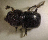 ( - SPEC#5687)  @11 [ ] CreativeCommons  Attribution Non-Commercial Share-Alike  (2024) Unspecified Princeton University