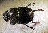  ( - SPEC#5705)  @11 [ ] CreativeCommons  Attribution Non-Commercial Share-Alike  (2024) Unspecified Princeton University