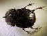  ( - SPEC#5708)  @11 [ ] CreativeCommons  Attribution Non-Commercial Share-Alike  (2024) Unspecified Princeton University