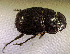  ( - SPEC#5715)  @11 [ ] CreativeCommons  Attribution Non-Commercial Share-Alike  (2024) Unspecified Princeton University