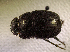  ( - SPEC#5731)  @11 [ ] CreativeCommons  Attribution Non-Commercial Share-Alike  (2024) Unspecified Princeton University