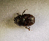 ( - SPEC#6161)  @11 [ ] CreativeCommons  Attribution Non-Commercial Share-Alike  (2024) Unspecified Princeton University