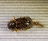  ( - SPEC#6480)  @11 [ ] CreativeCommons  Attribution Non-Commercial Share-Alike  (2024) Unspecified Princeton University