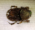  ( - SPEC#6488)  @11 [ ] CreativeCommons  Attribution Non-Commercial Share-Alike  (2024) Unspecified Princeton University