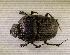  ( - SPEC#6521)  @11 [ ] CreativeCommons  Attribution Non-Commercial Share-Alike  (2024) Unspecified Princeton University