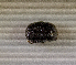  ( - SPEC#6563)  @11 [ ] CreativeCommons  Attribution Non-Commercial Share-Alike  (2024) Unspecified Princeton University