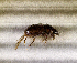  ( - SPEC#6650)  @11 [ ] CreativeCommons  Attribution Non-Commercial Share-Alike  (2024) Unspecified Princeton University