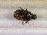  ( - SPEC#6651)  @11 [ ] CreativeCommons  Attribution Non-Commercial Share-Alike  (2024) Unspecified Princeton University
