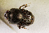  ( - SPEC#6679)  @11 [ ] CreativeCommons  Attribution Non-Commercial Share-Alike  (2024) Unspecified Princeton University