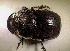  ( - SPEC#6686)  @11 [ ] CreativeCommons  Attribution Non-Commercial Share-Alike  (2024) Unspecified Princeton University