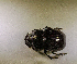  ( - SPEC#6707)  @11 [ ] CreativeCommons  Attribution Non-Commercial Share-Alike  (2024) Unspecified Princeton University
