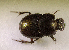  ( - SPEC#6758)  @11 [ ] CreativeCommons  Attribution Non-Commercial Share-Alike  (2024) Unspecified Princeton University
