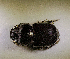  ( - SPEC#6797)  @11 [ ] CreativeCommons  Attribution Non-Commercial Share-Alike  (2024) Unspecified Princeton University