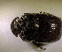  ( - SPEC#6804)  @11 [ ] CreativeCommons  Attribution Non-Commercial Share-Alike  (2024) Unspecified Princeton University