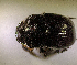  ( - SPEC#6831)  @11 [ ] CreativeCommons  Attribution Non-Commercial Share-Alike  (2024) Unspecified Princeton University