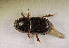  ( - SPEC#7291)  @11 [ ] CreativeCommons  Attribution Non-Commercial Share-Alike  (2024) Unspecified Princeton University