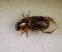  ( - SPEC#7561)  @11 [ ] CreativeCommons  Attribution Non-Commercial Share-Alike  (2024) Unspecified Princeton University