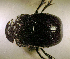  ( - SPEC#8190)  @11 [ ] CreativeCommons  Attribution Non-Commercial Share-Alike  (2024) Unspecified Princeton University