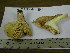  (Lactarius aff. colorascens - TRTC155561_ITS)  @11 [ ] CreativeCommons - Attribution Non-Commercial Share-Alike (2010) Unspecified Royal Ontario Museum