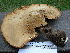  ( - CAT06-54_ITS)  @11 [ ] Unspecified (default): All Rights Reserved  Unspecified Unspecified